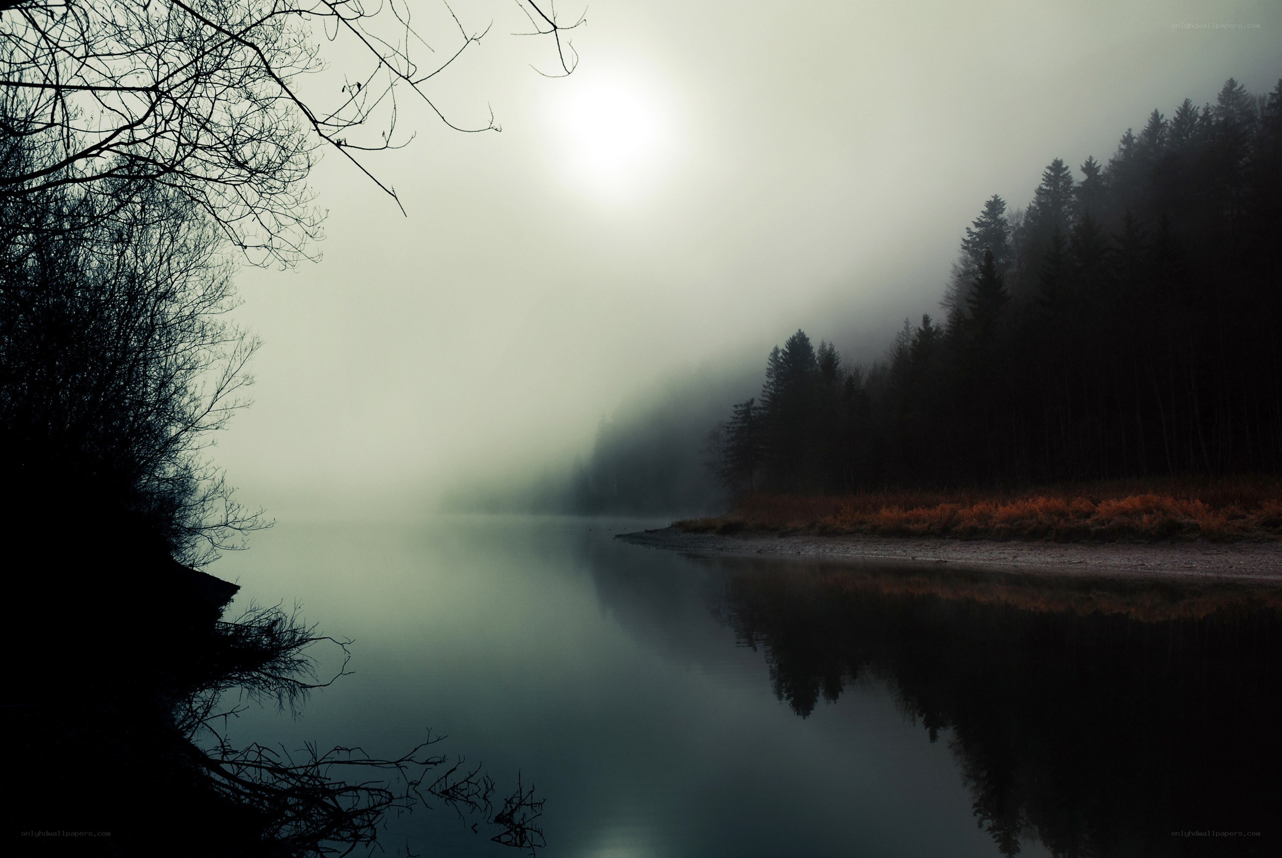 Foggy lake at dawn