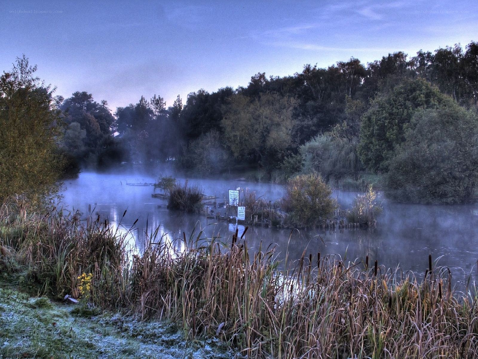 Foggy lake at dawn