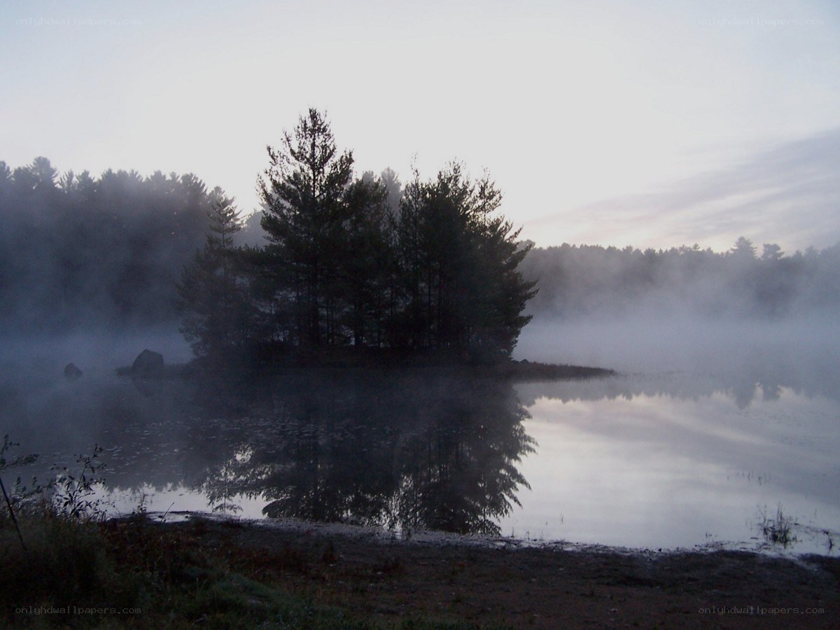 Foggy lake at dawn