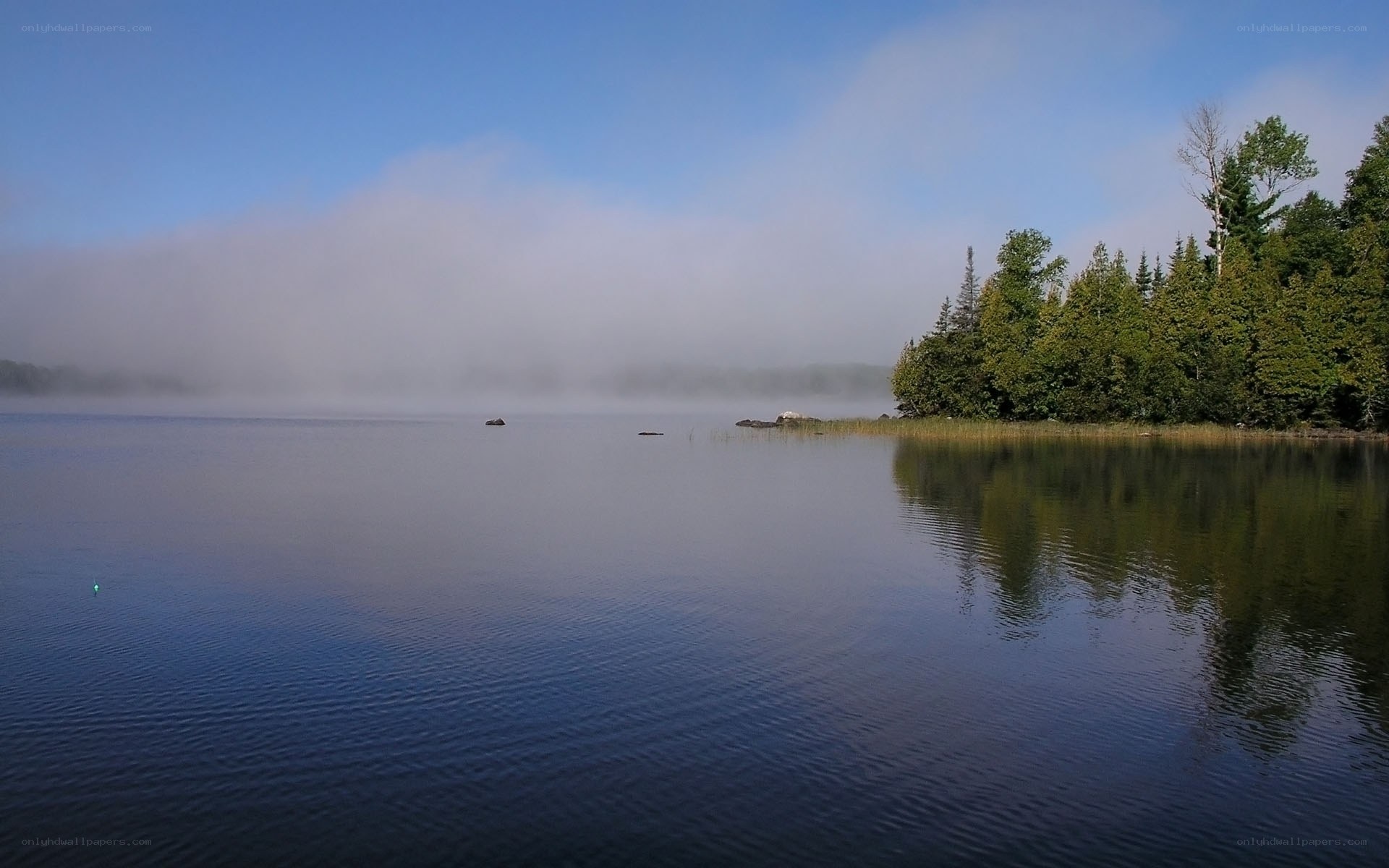 Foggy lake at dawn