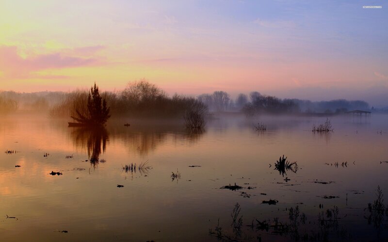 Foggy Lake at Dawn — Orange