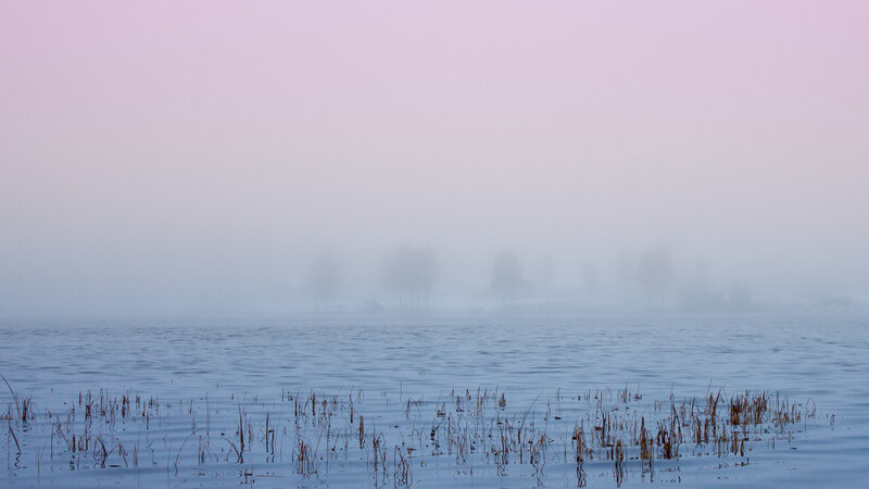 Foggy Lake at Dawn — Pink