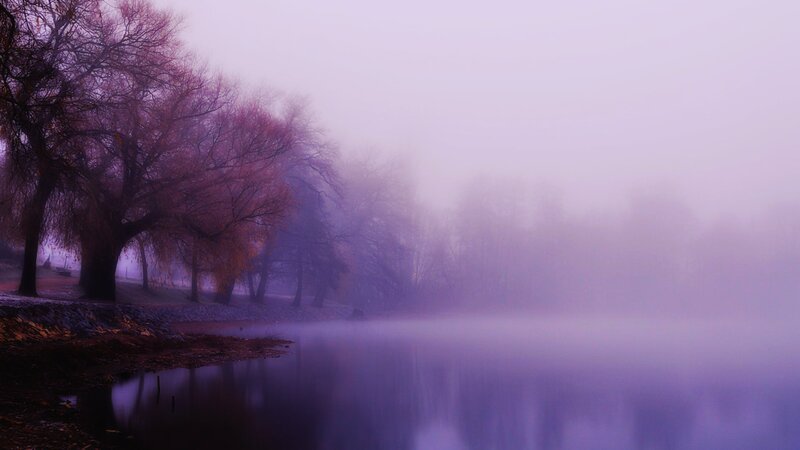 Foggy Lake at Dawn — Purple