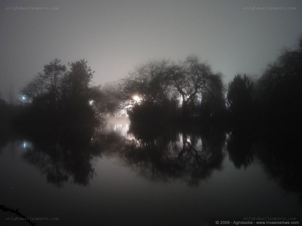 Foggy lake at night