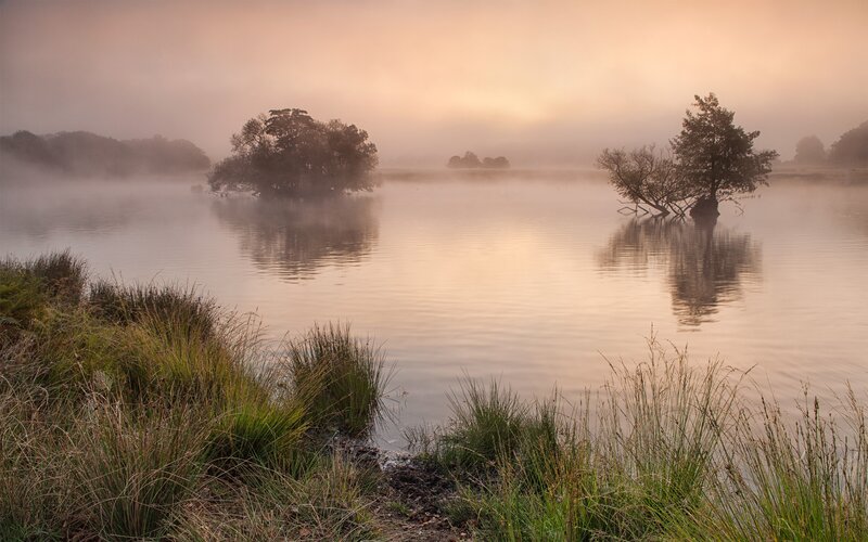 Foggy lake at sunrise