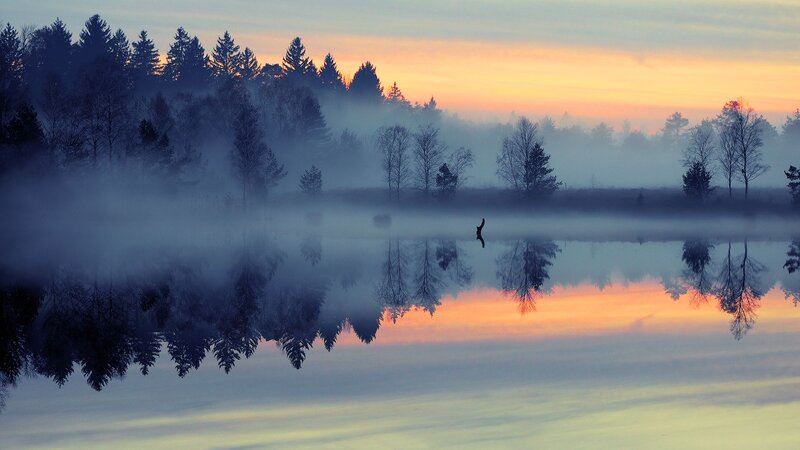 Foggy lake at sunrise