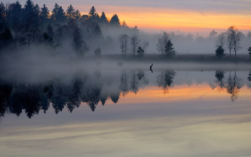 Foggy lake at sunrise