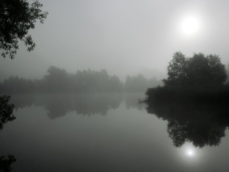 Foggy lake at sunrise