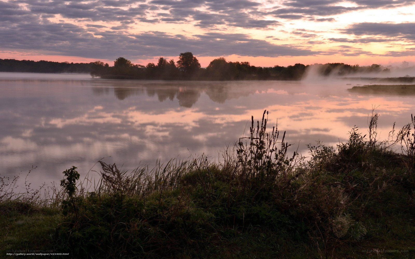 Foggy lake at sunrise