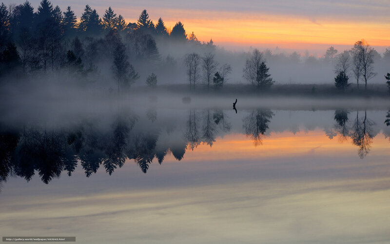Foggy lake at sunrise