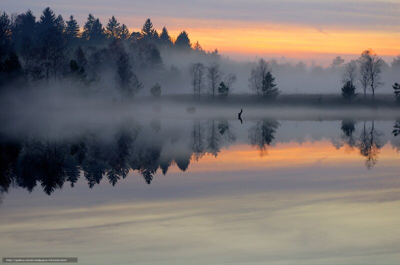 Foggy lake at sunrise