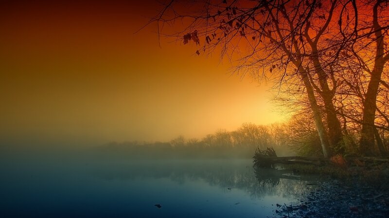 Foggy Lake at Sunrise — Orange, Serene, Photograph, Trees, Mist