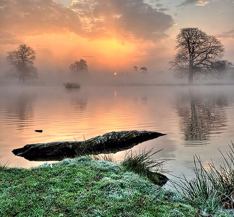 Foggy Lake at Sunrise — Orange, Serene, Photograph, Trees