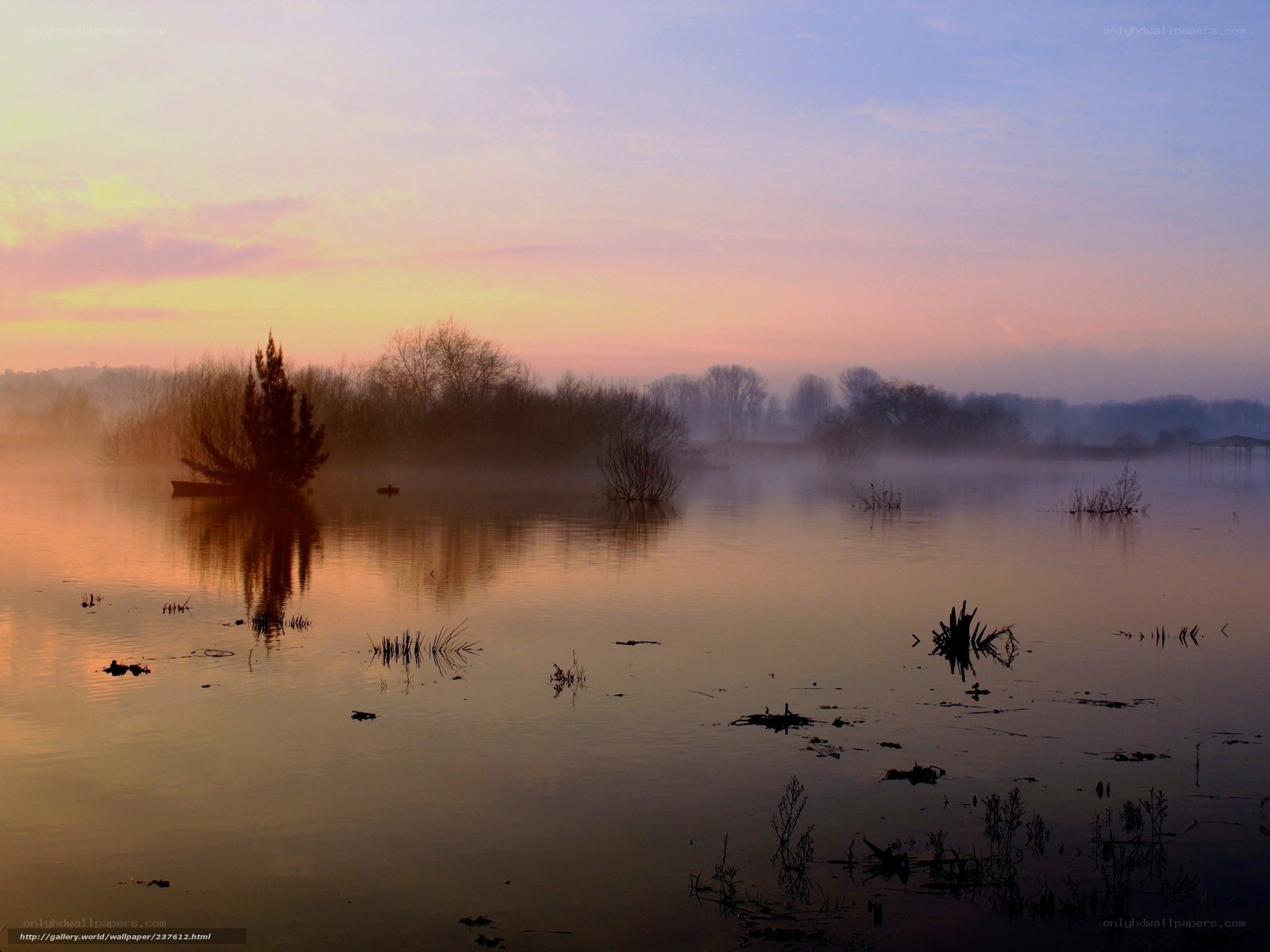 Foggy lake at sunrise