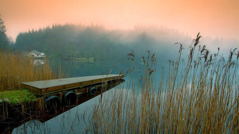 Foggy lake dock at dawn