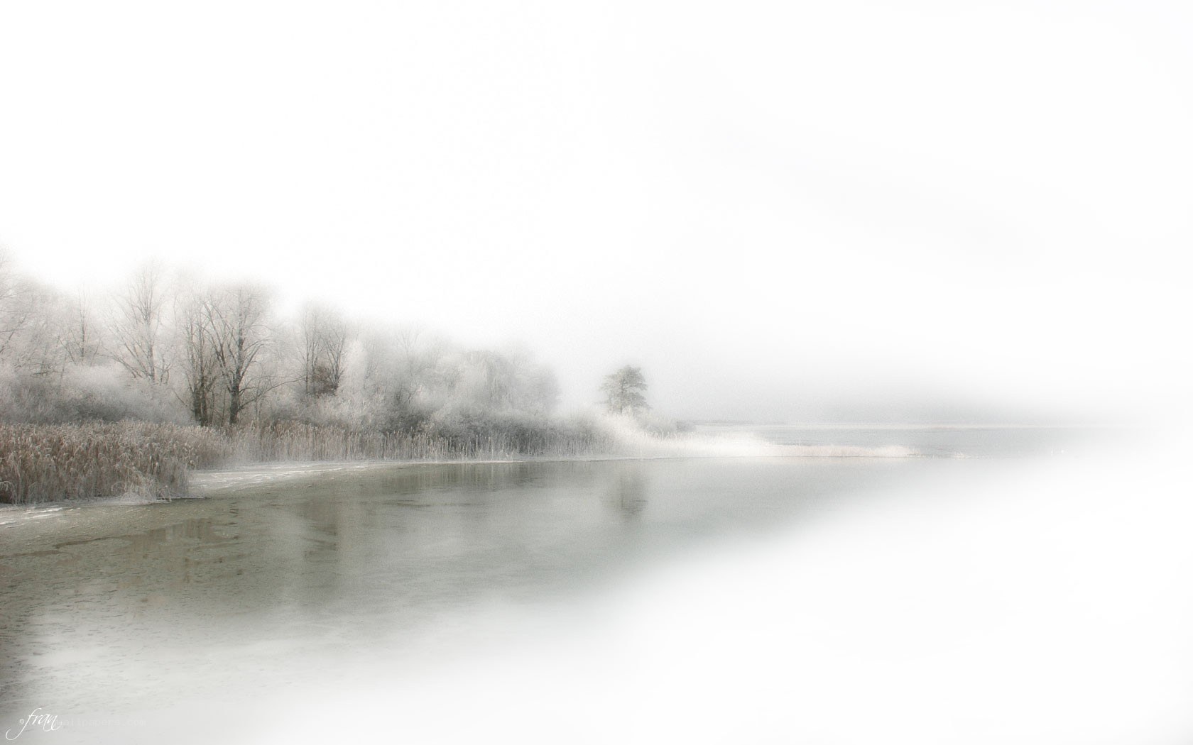 foggy lake in winter