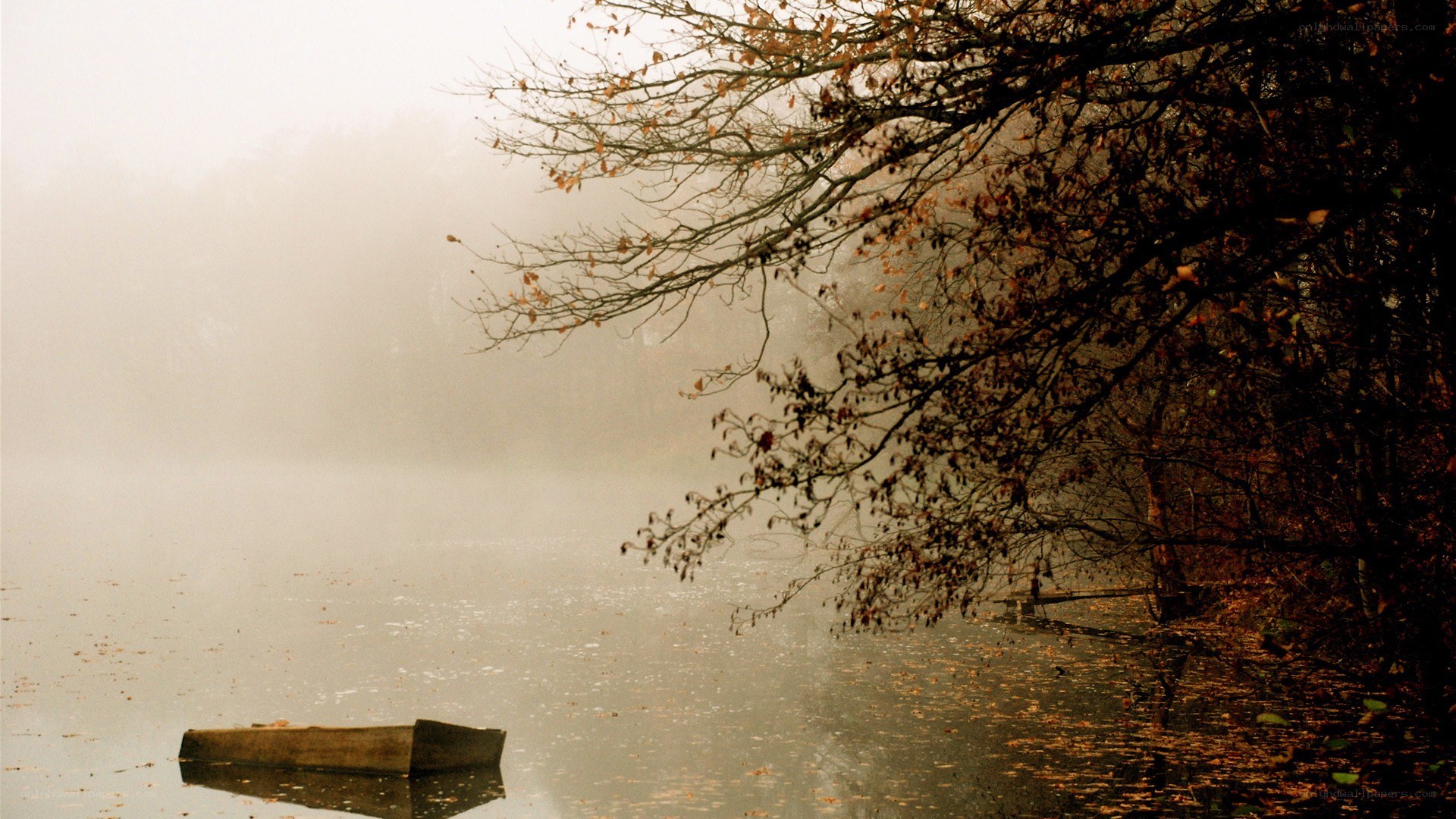 Foggy lake with a boat