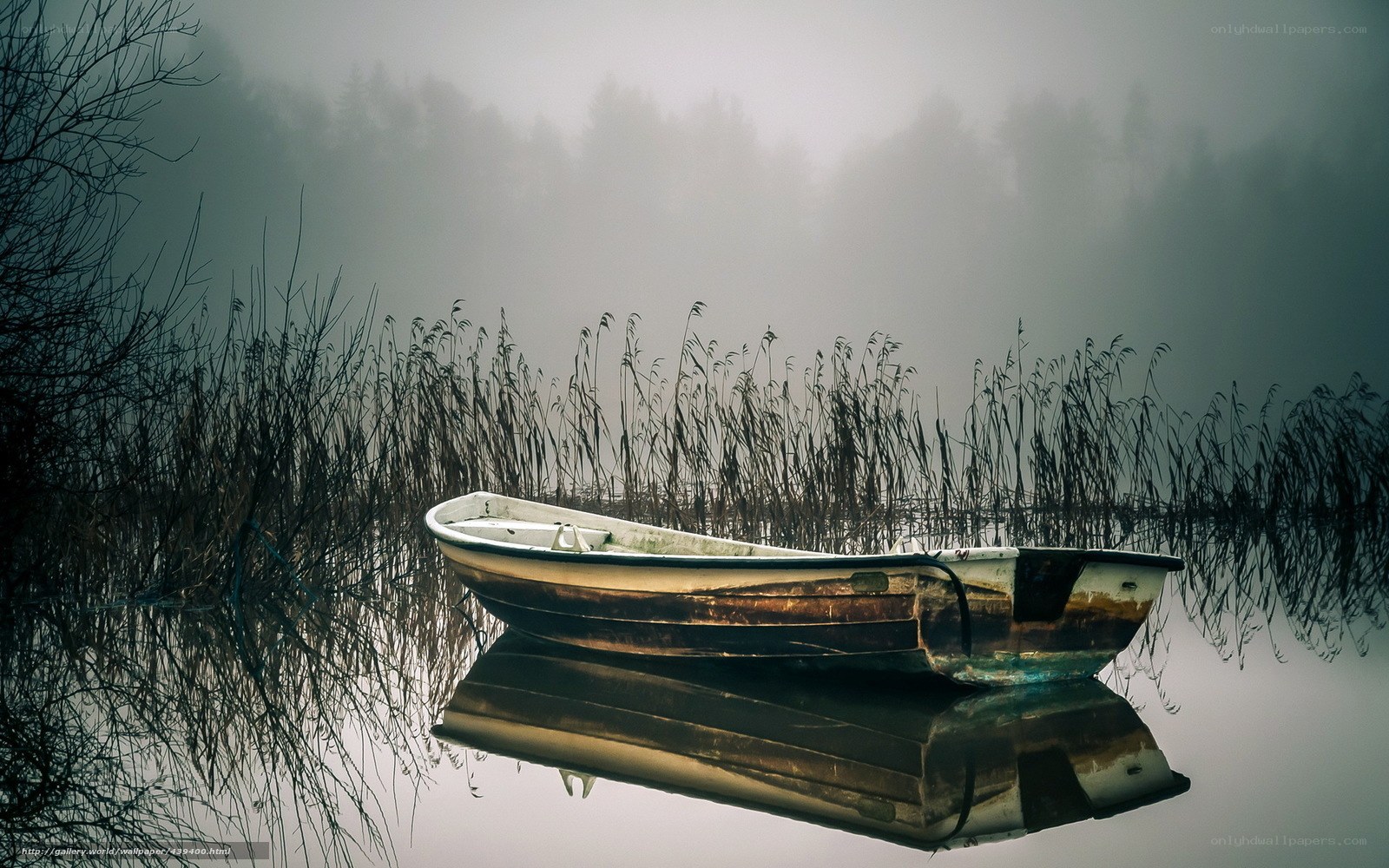 Foggy lake with a boat