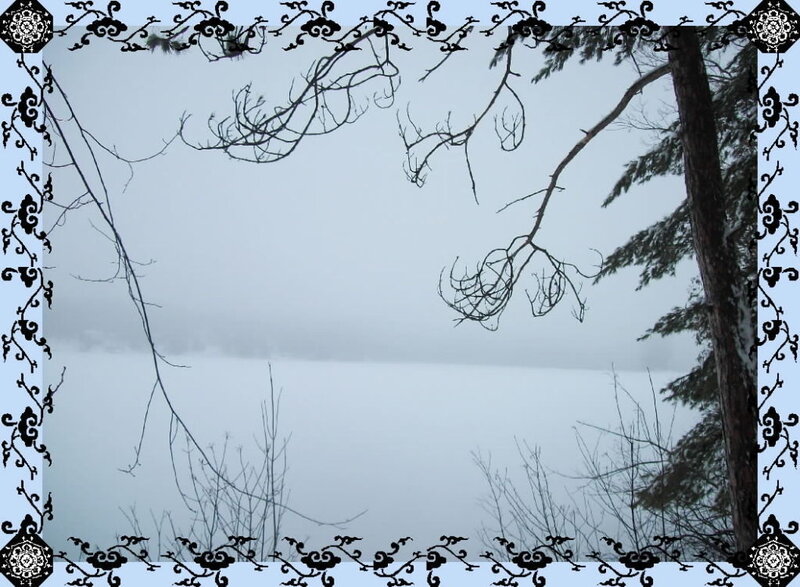 foggy lake with bare branches