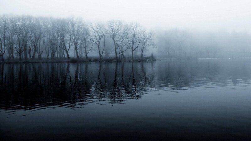Foggy lake with bare trees