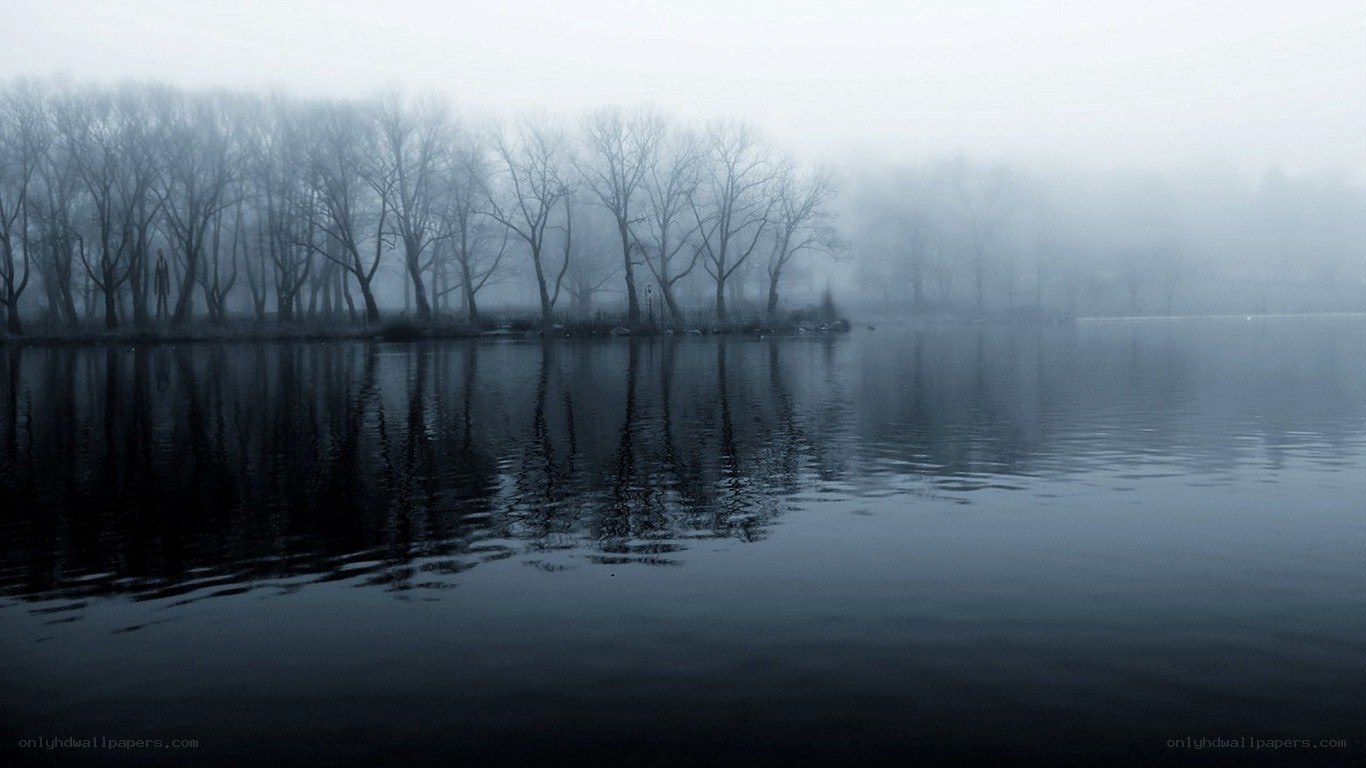 Foggy lake with bare trees