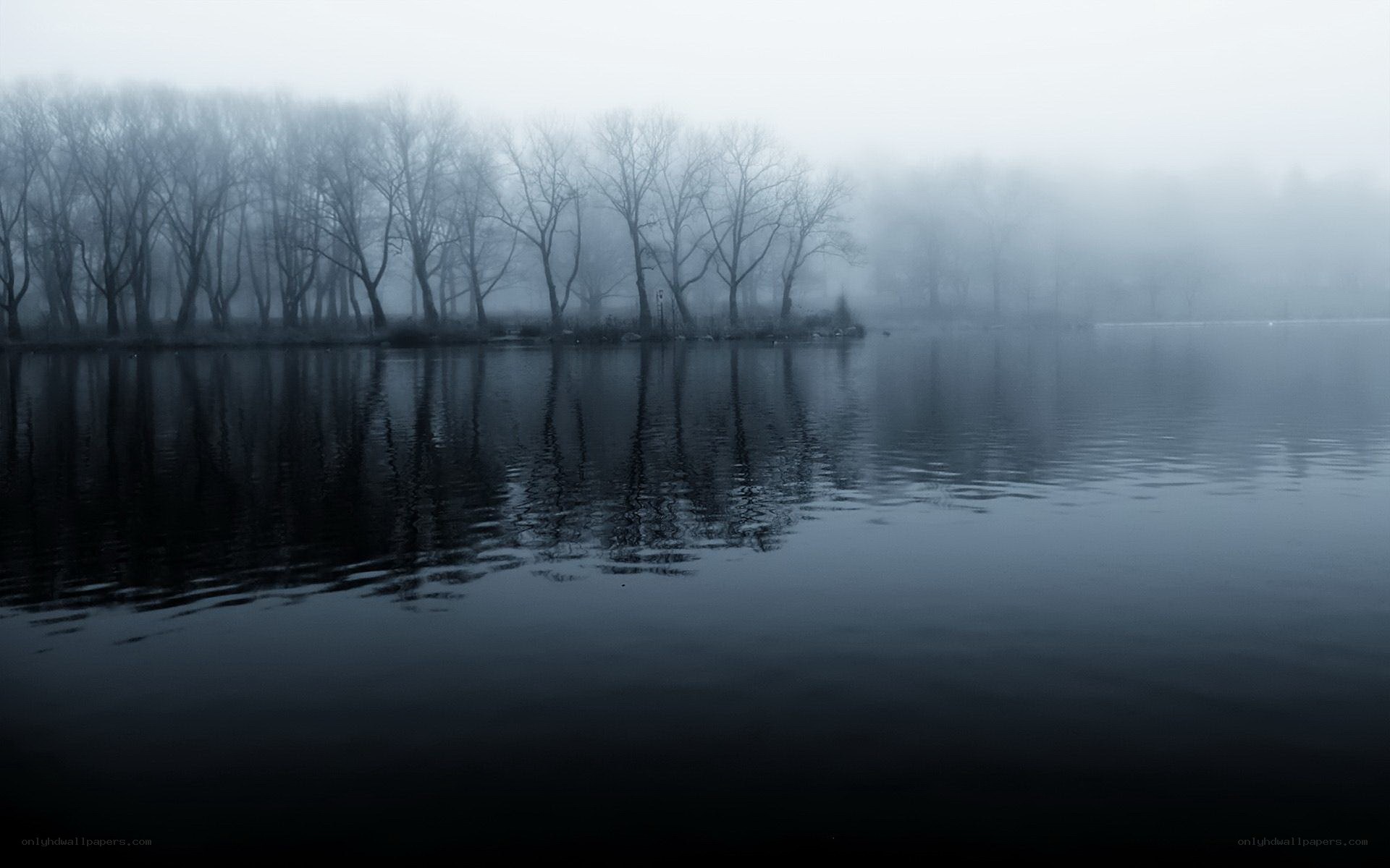 Foggy lake with bare trees