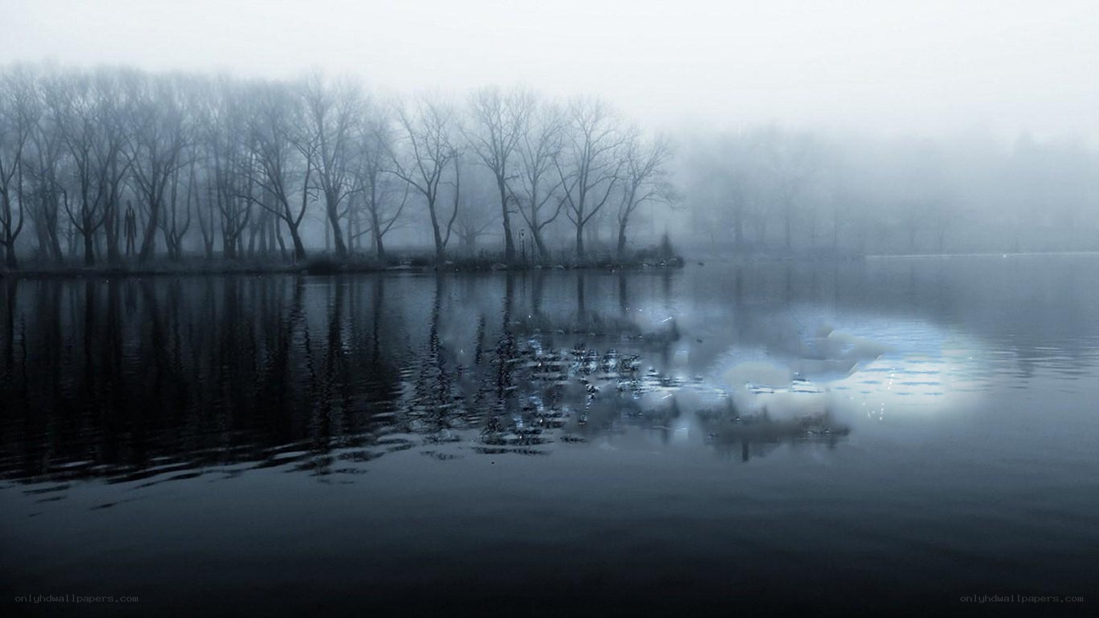 Foggy lake with bare trees