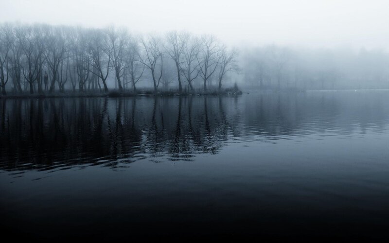 Foggy lake with bare trees