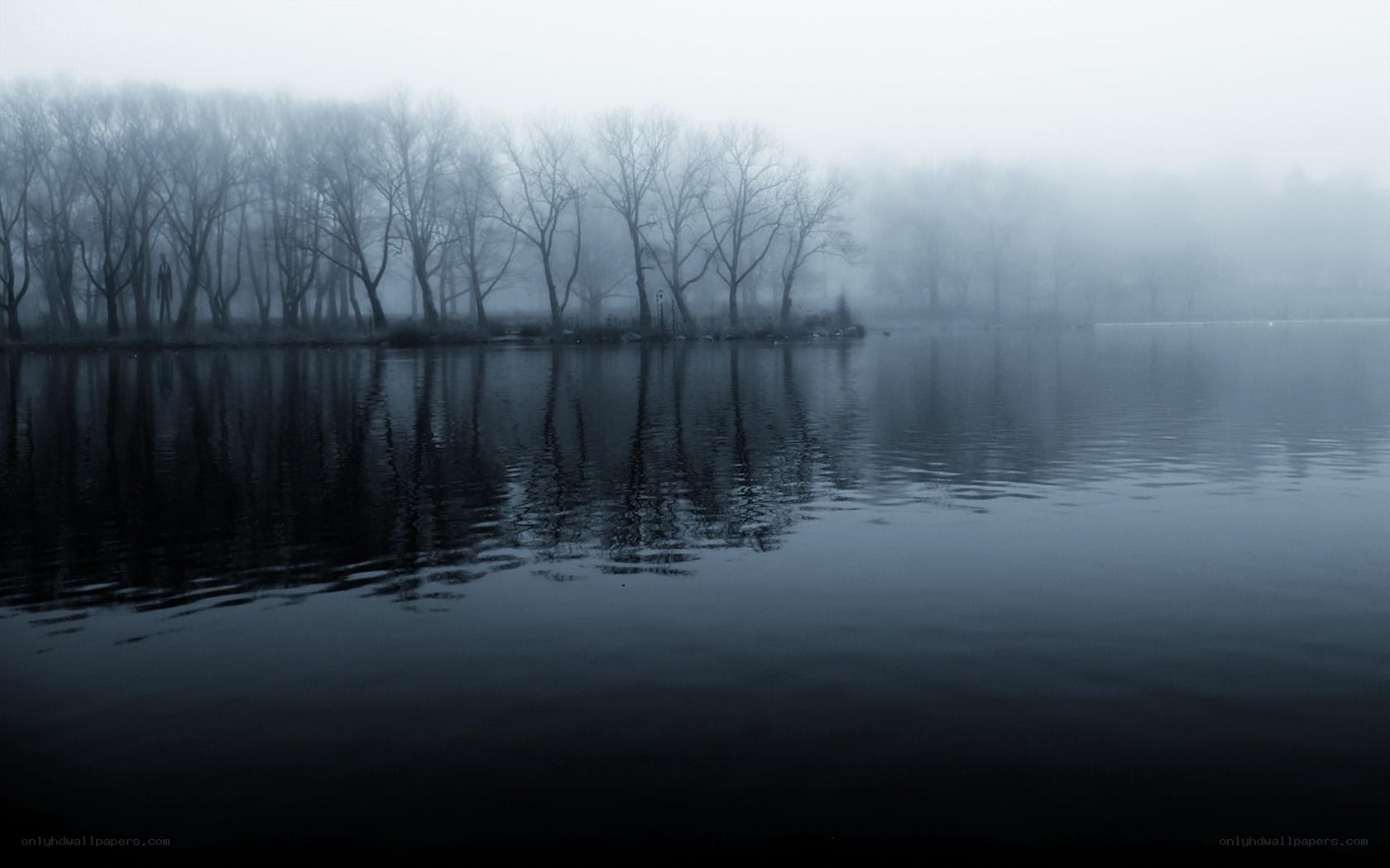 Foggy lake with bare trees