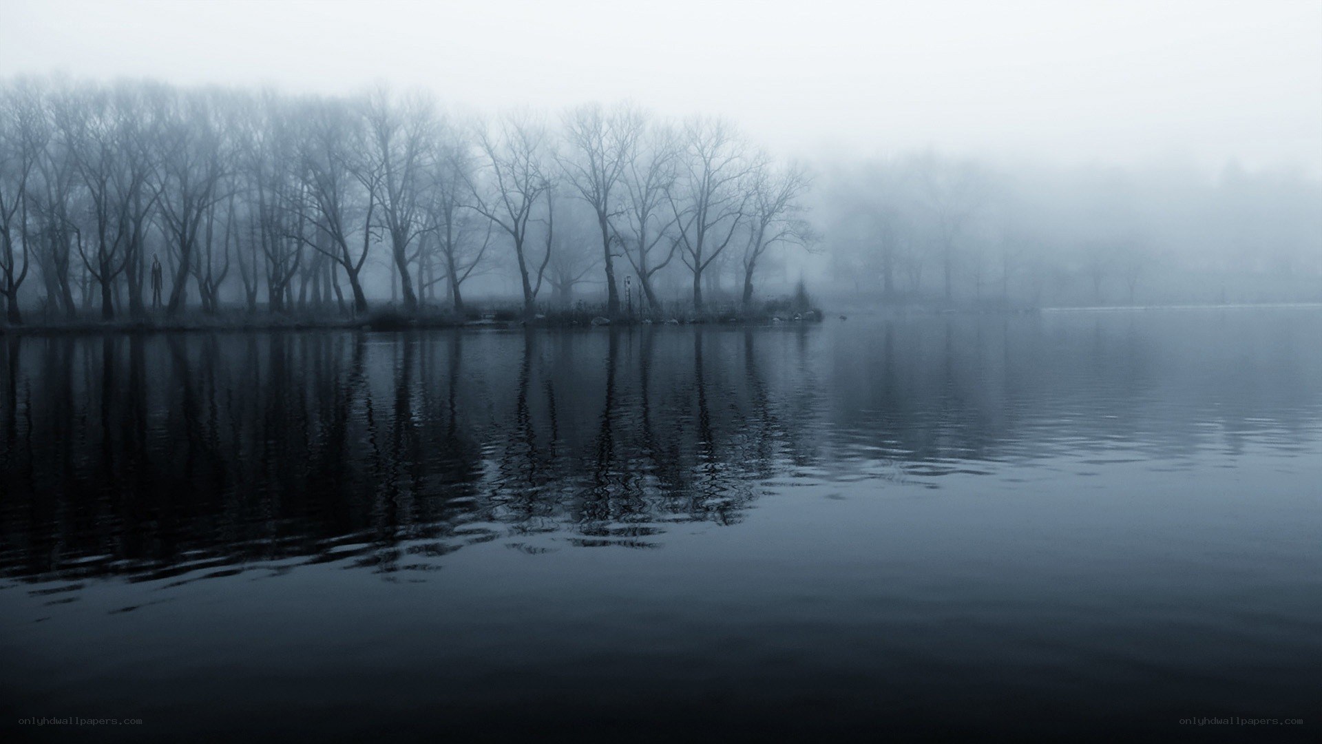 Foggy lake with bare trees