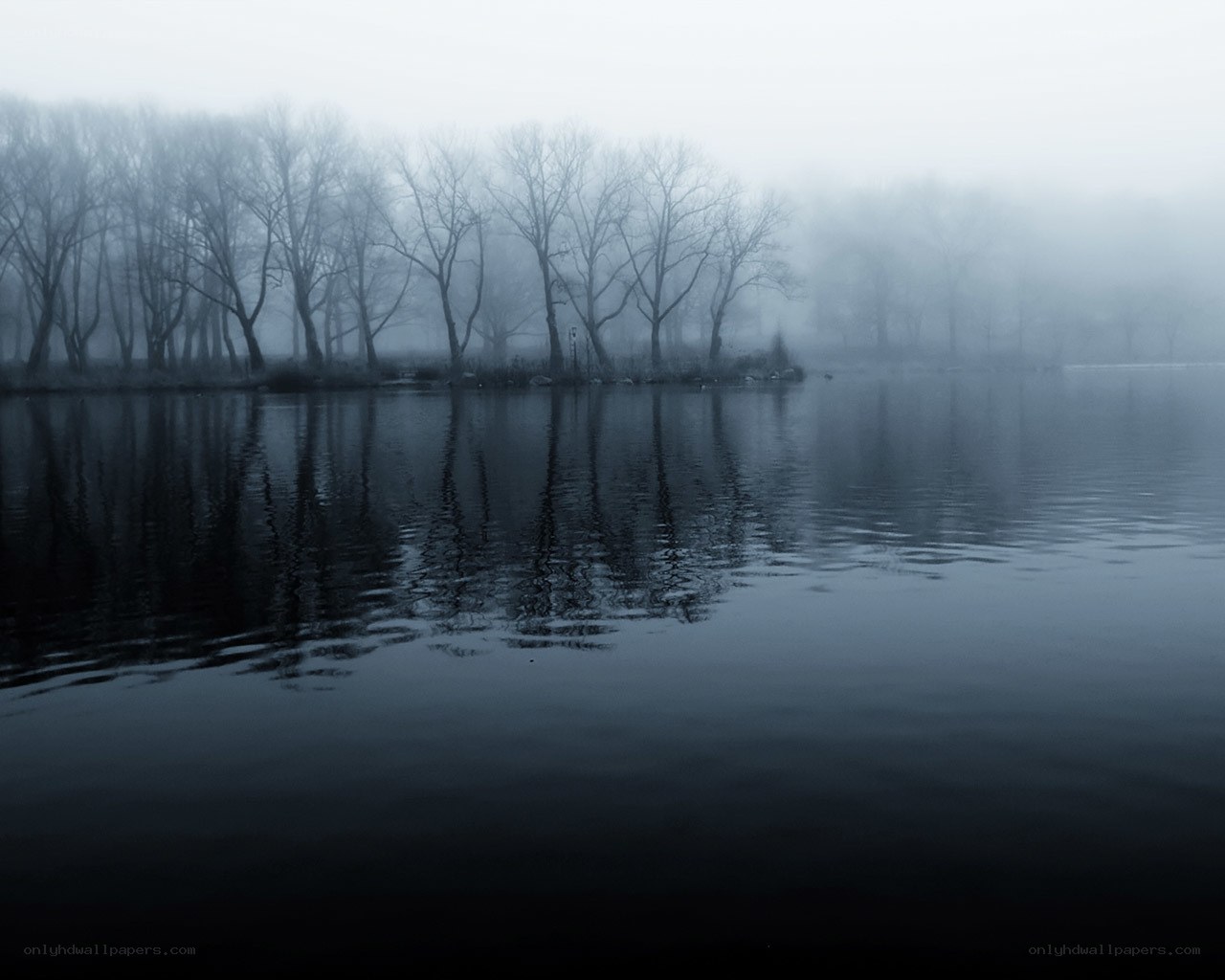 Foggy lake with bare trees
