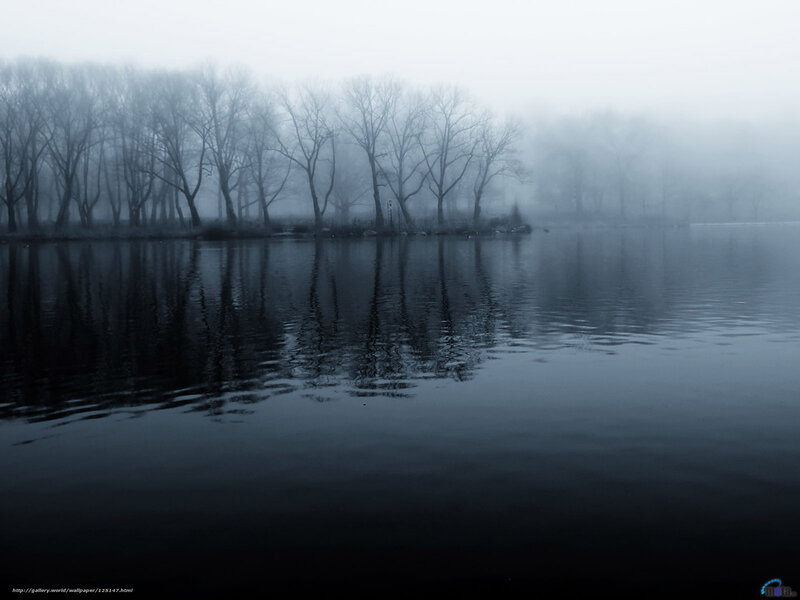 Foggy lake with bare trees