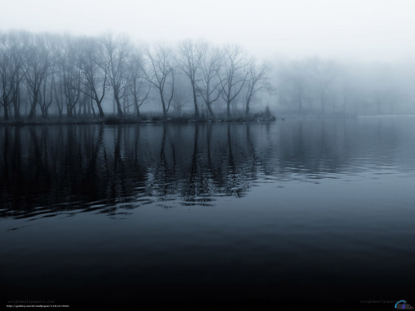 Foggy lake with bare trees