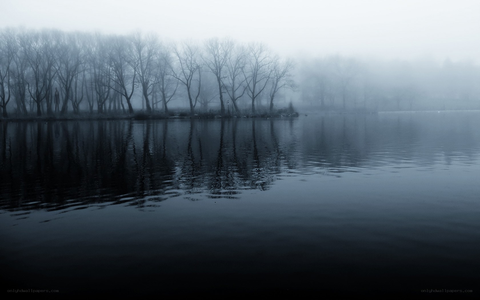 Foggy lake with bare trees
