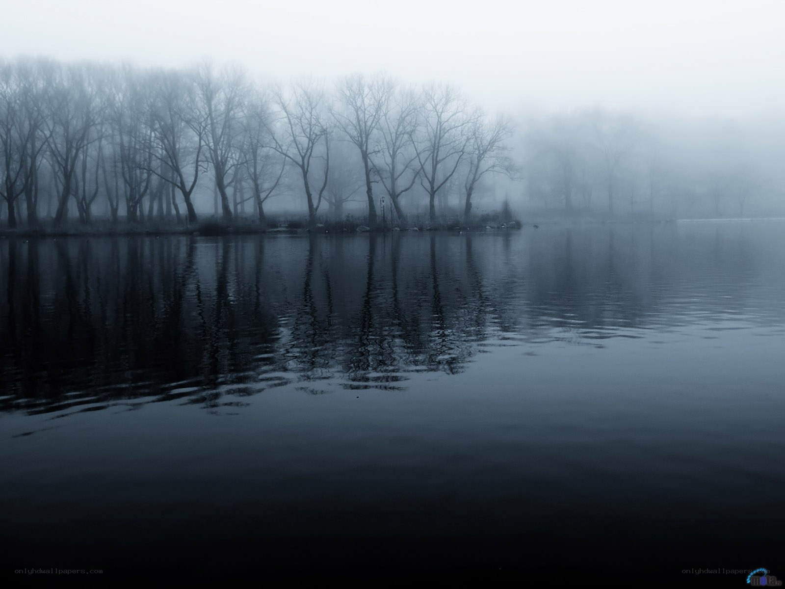 Foggy lake with bare trees