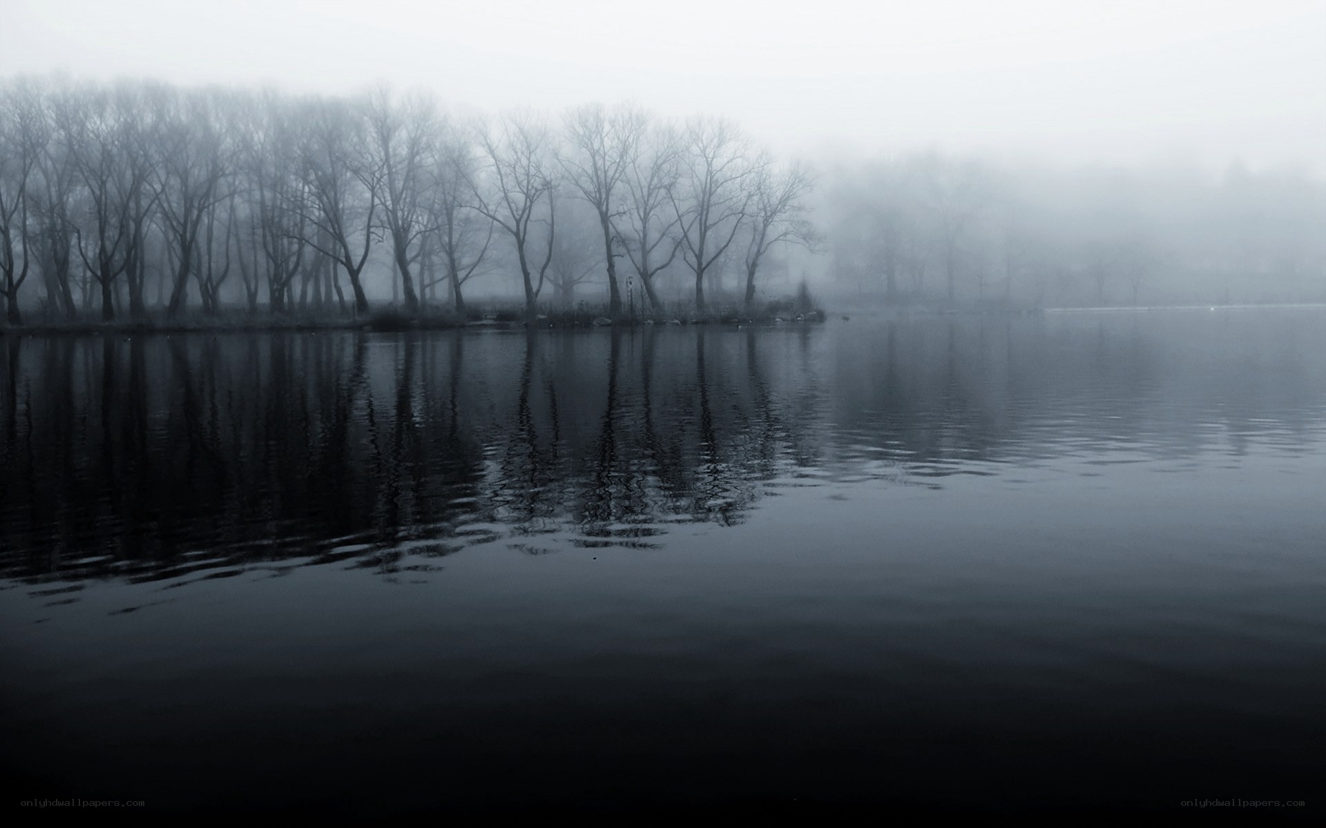 Foggy lake with bare trees