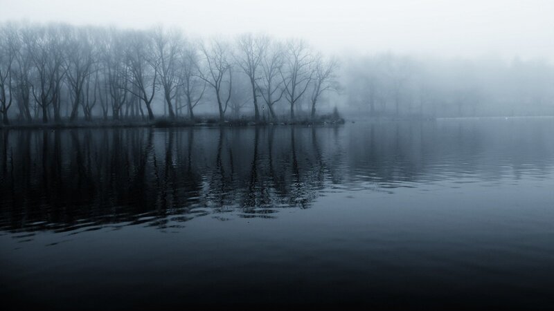 Foggy lake with bare trees