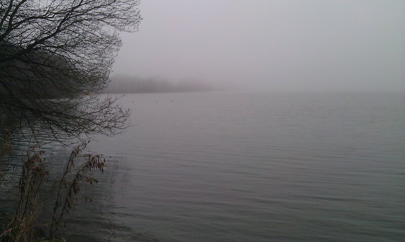 Foggy Lake with Bare Trees — Gray, Misty