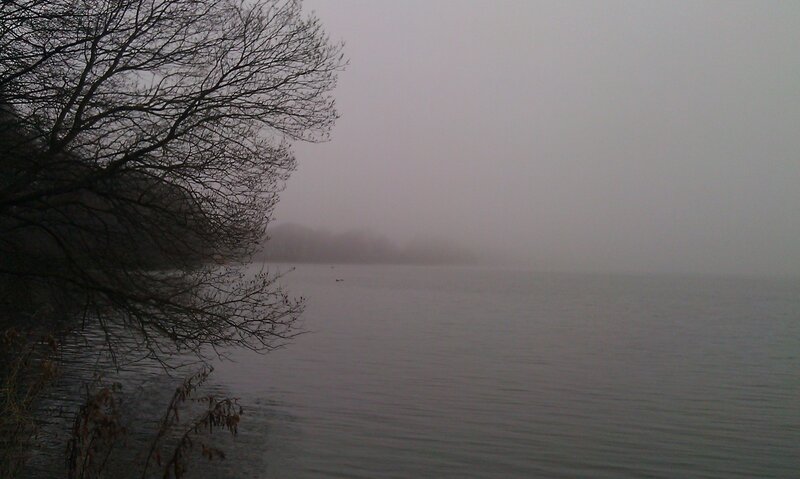 Foggy Lake with Bare Trees — Gray