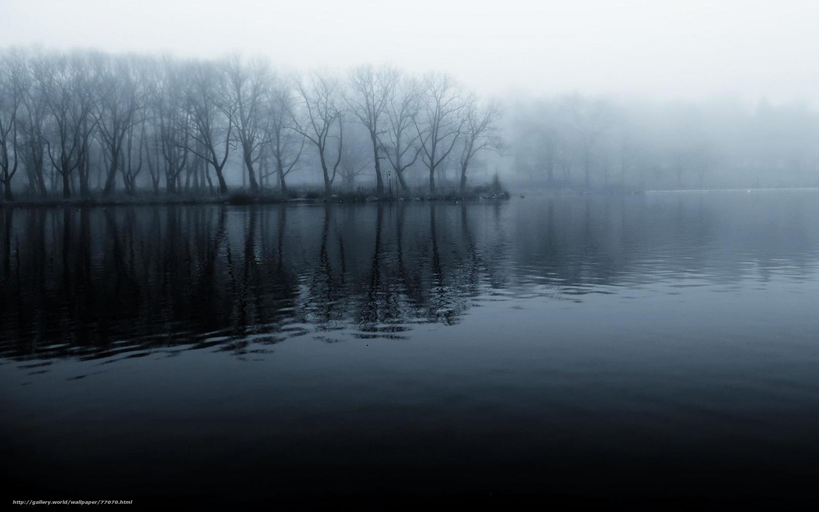 Foggy lake with bare trees