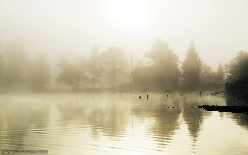 Foggy Lake with Cabin