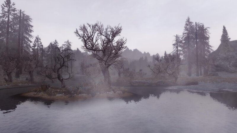 Foggy Lake with Dead Trees — Gray