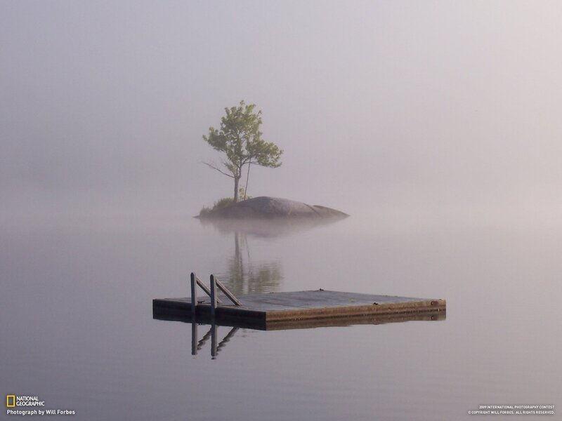 Foggy lake with dock and tree