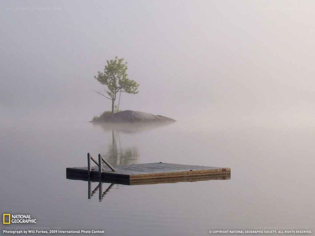 Foggy lake with dock and tree