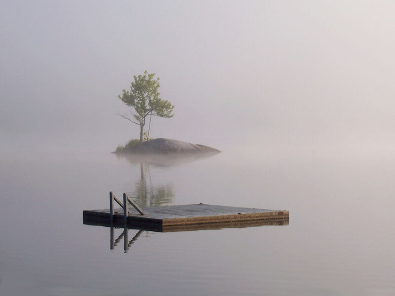 Foggy lake with dock and tree
