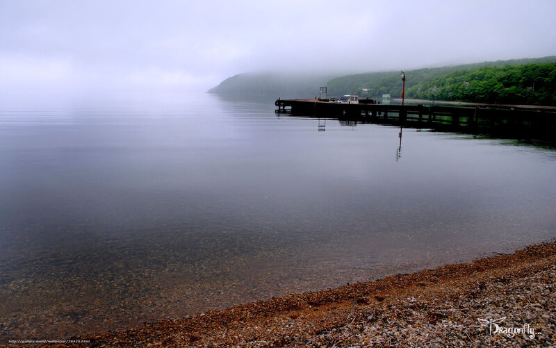 Foggy lake with dock