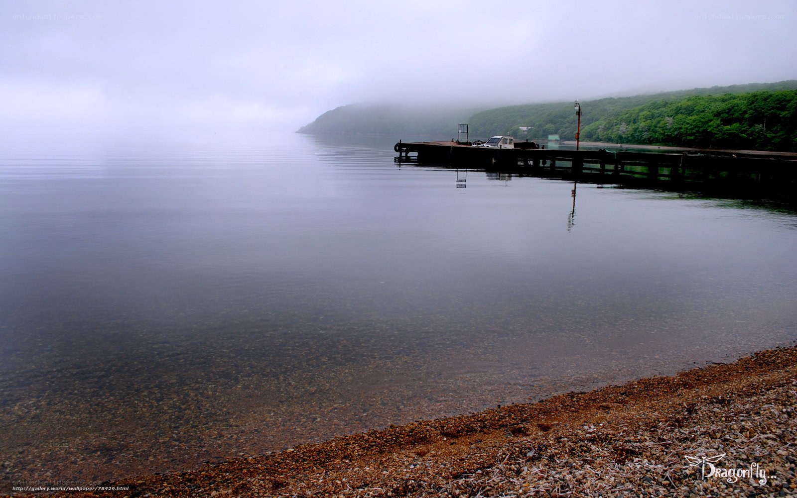 Foggy lake with dock