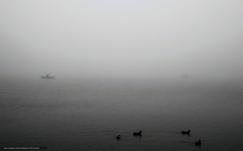 Foggy lake with ducks and boats