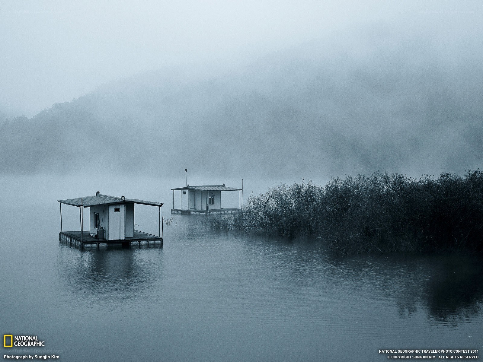 Foggy lake with floating cabins