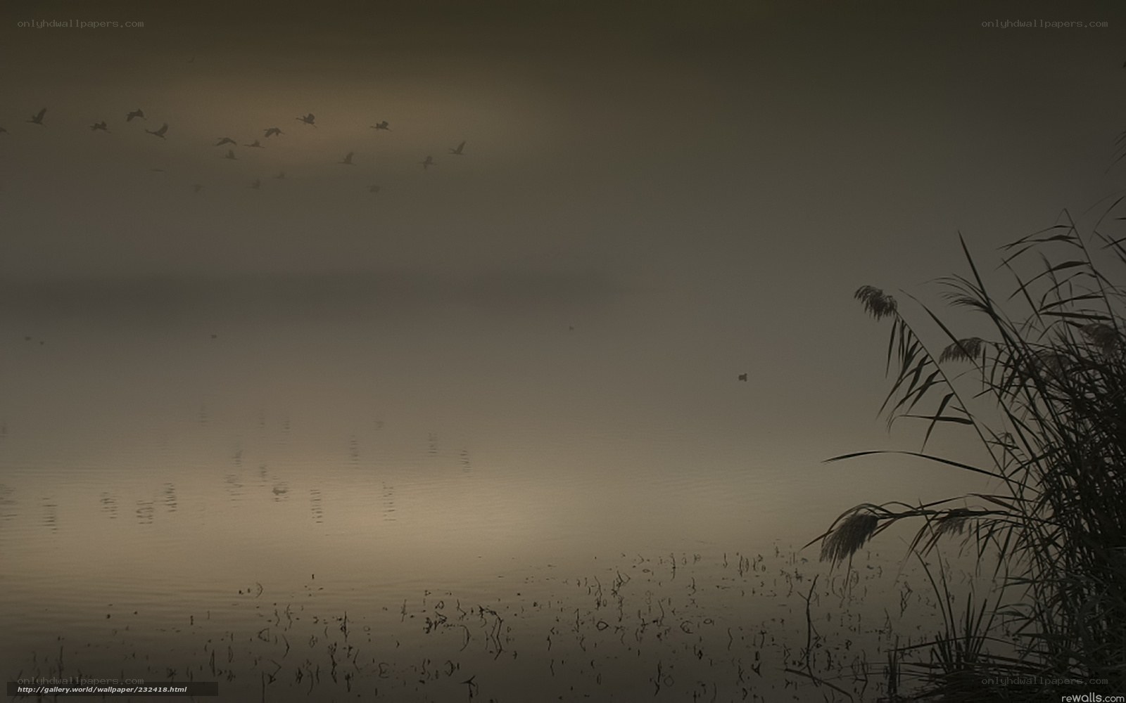 Foggy Lake with Flying Birds